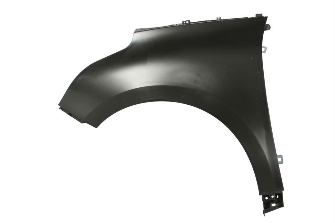 Front fender Renault Scenic: 6504046047311P Blic Front fender left