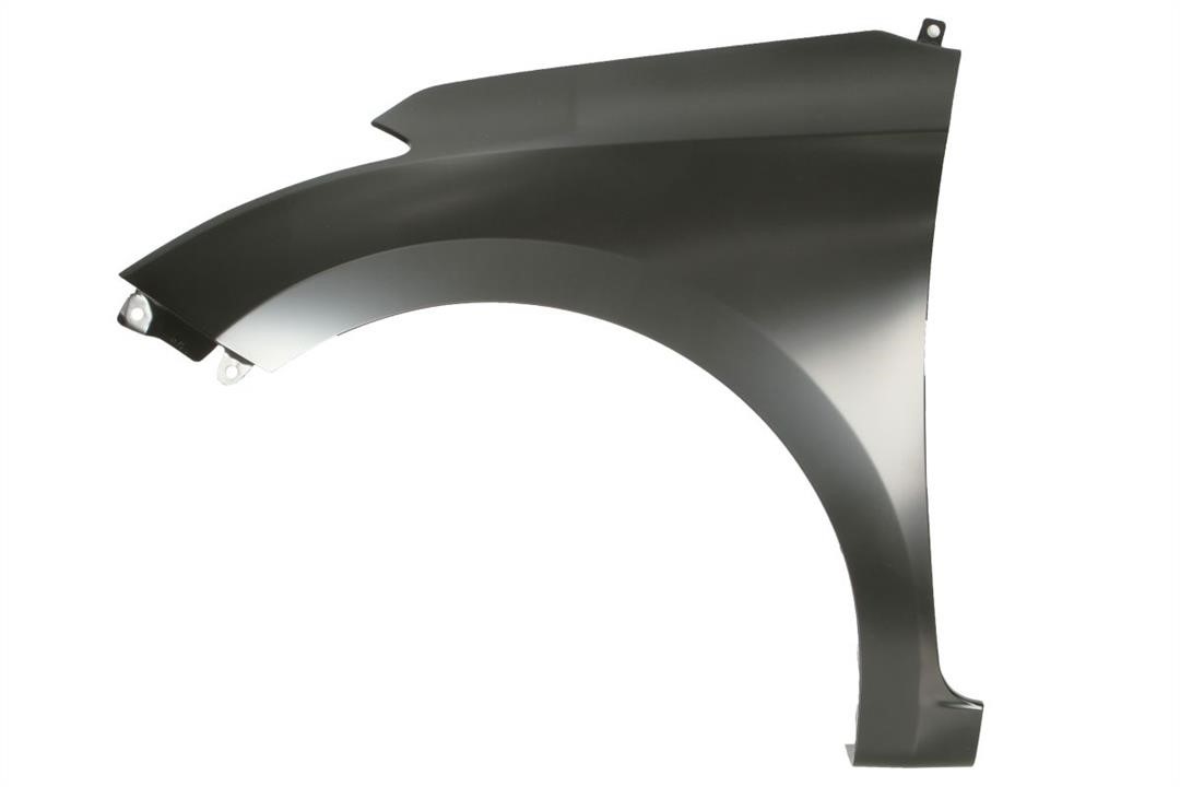 6504043130311P Blic Front fender