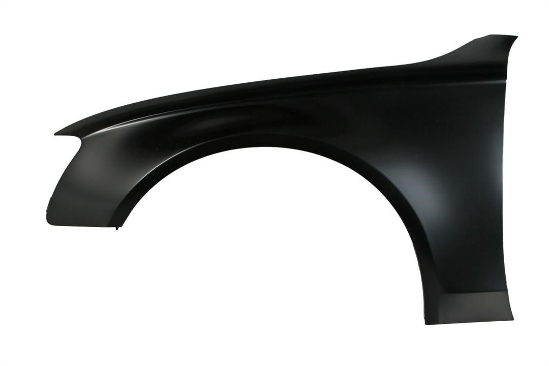 6504040029313Q Blic Front fender left