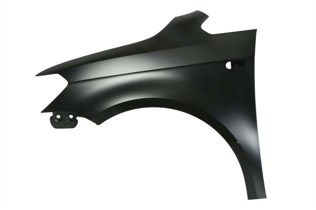 Front fender Volkswagen Caddy: 6504049546311Q Blic Front fender