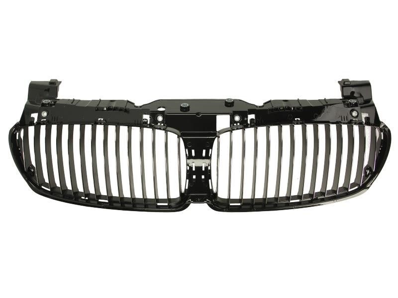 6502070076992P Blic Grille radiator