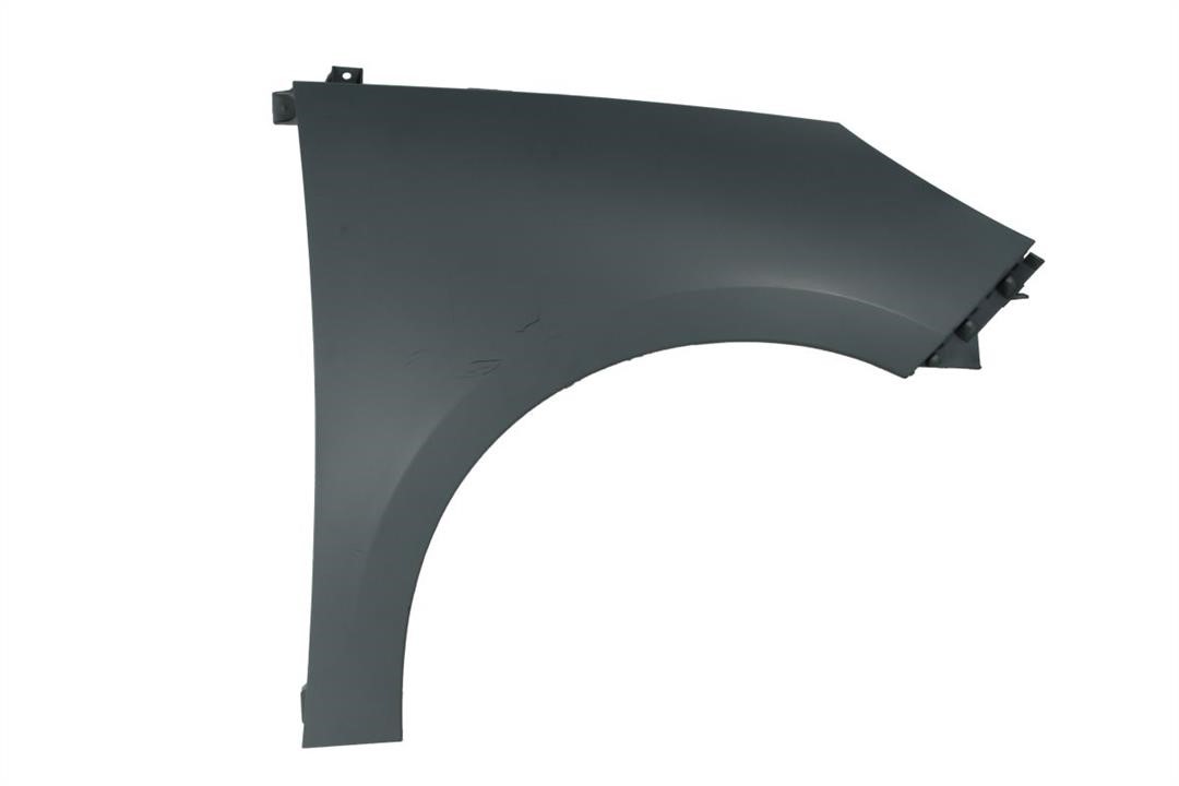 Front wing panel Renault Scenic: 6504046042316P Blic Front fender right