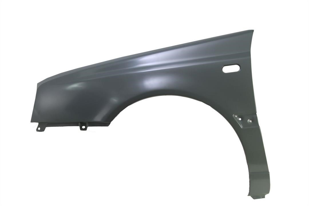 Front fender Volkswagen Vento: 6504049542313P Blic Front fender