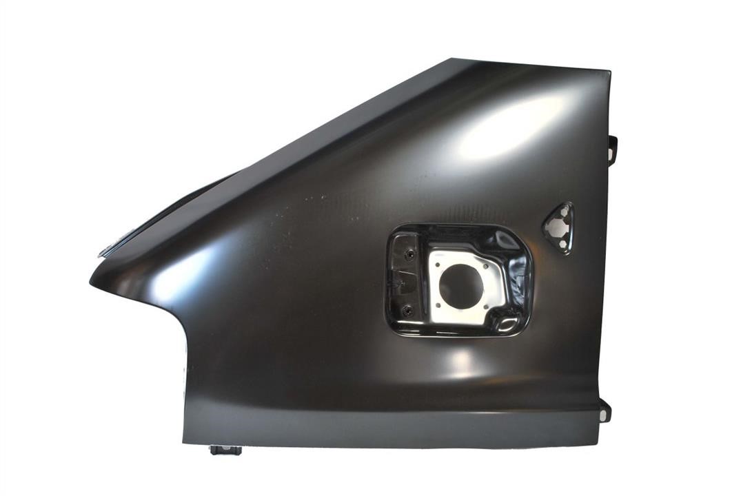 Front fender Citroen: 6504042093311P Blic Front fender left
