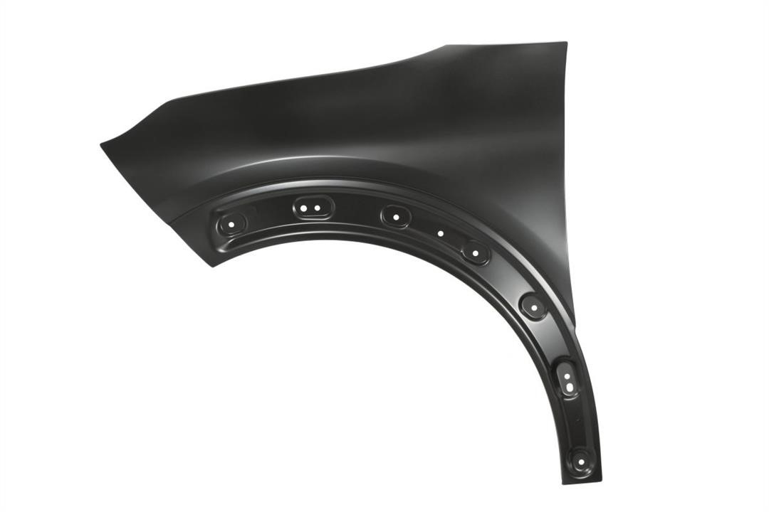 Front fender Citroen C4: 6504040540315P Blic Front fender