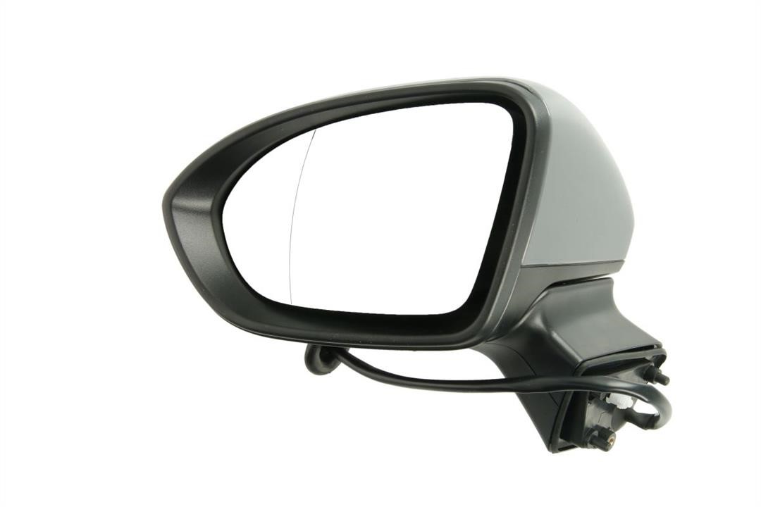 5402040405291P Blic Rearview mirror external left
