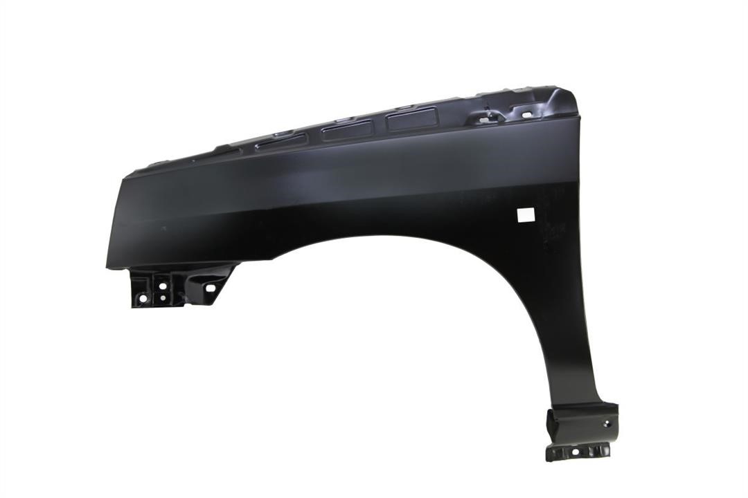 Front wing fender Renault Clio: 6504046031311P Blic Front fender left