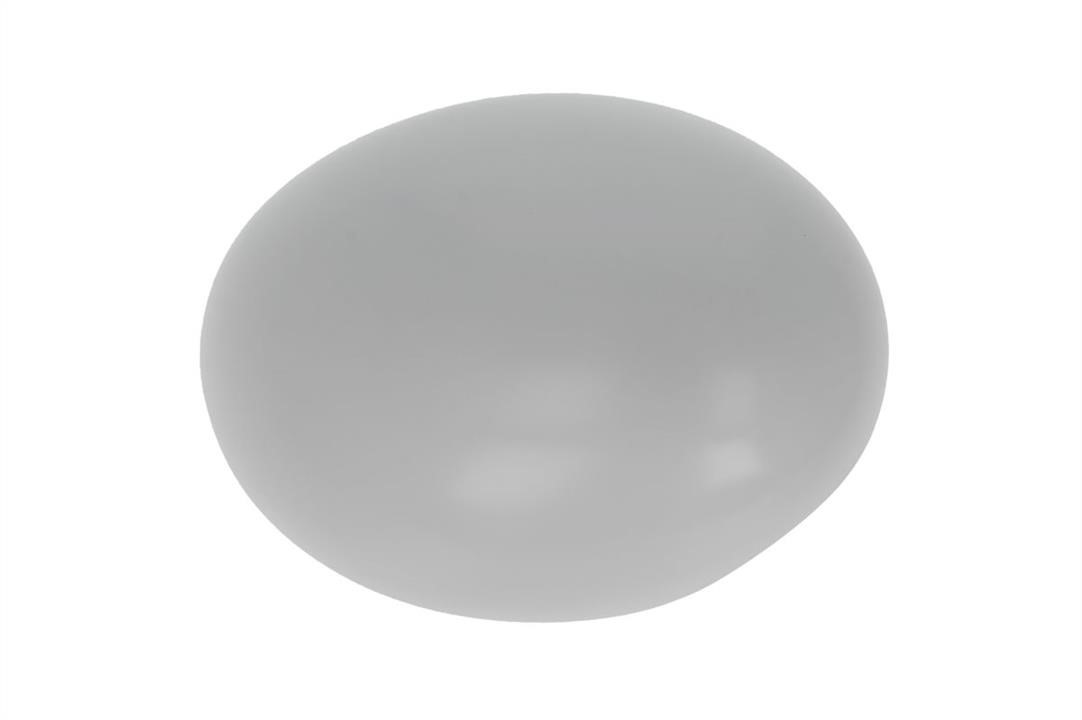 Blic 6103-05-2001842P Cover side mirror 6103052001842P: Buy near me in Poland at 2407.PL - Good price!