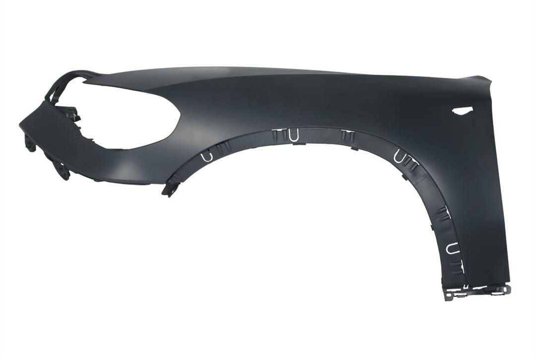 6504040096315P Blic Front fender left