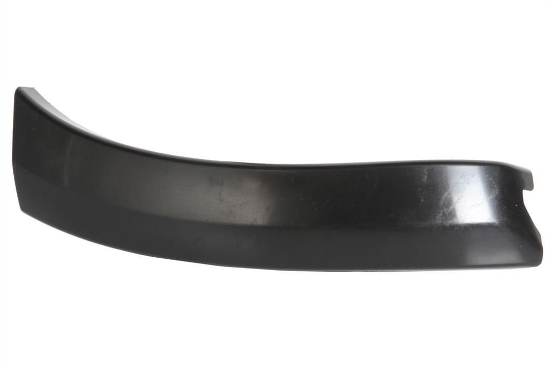 Blic 5703-08-8179379P Front fender trim left 5703088179379P: Buy near me at 2407.PL in Poland at an Affordable price!