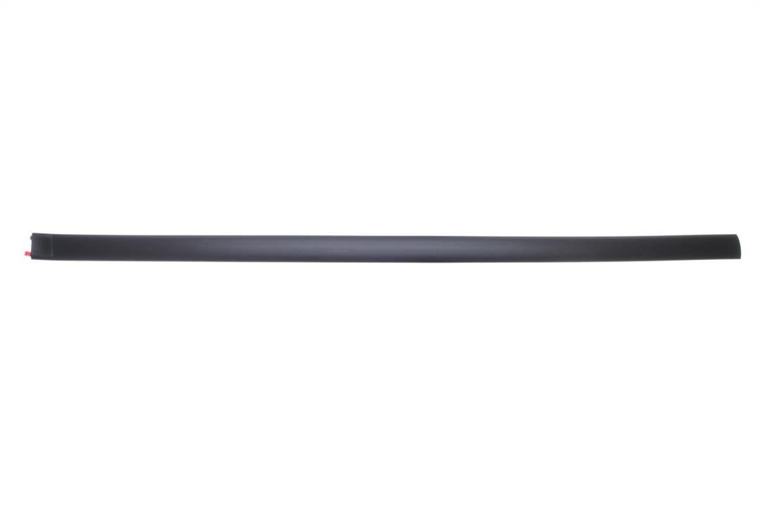 Door moulding Fiat Punto: 5703042022571P Blic Door trim