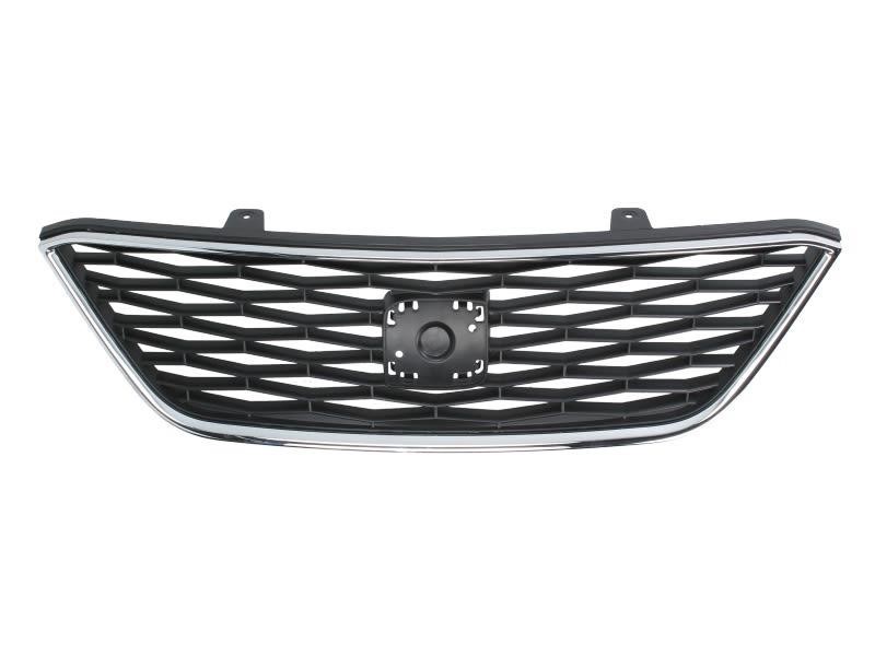 Blic 6502-07-6621992P Grille radiator 6502076621992P: Buy near me at 2407.PL in Poland at an Affordable price!