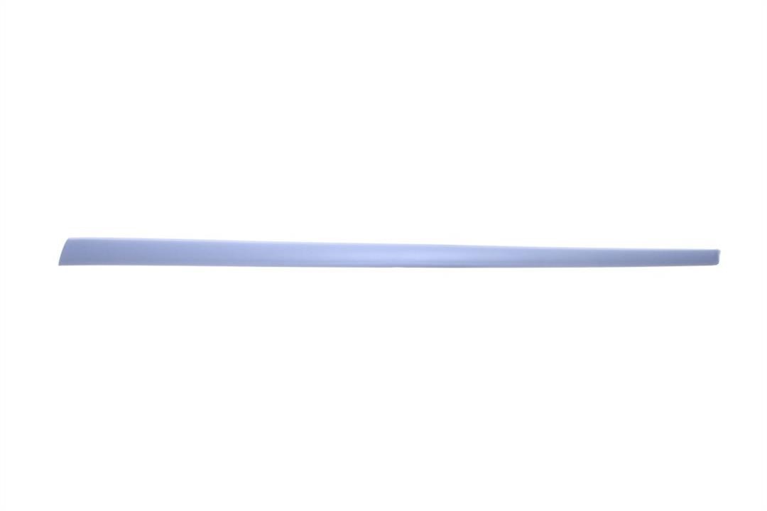 Door moulding Ford Fiesta: 5703042564576PP Blic Door trim
