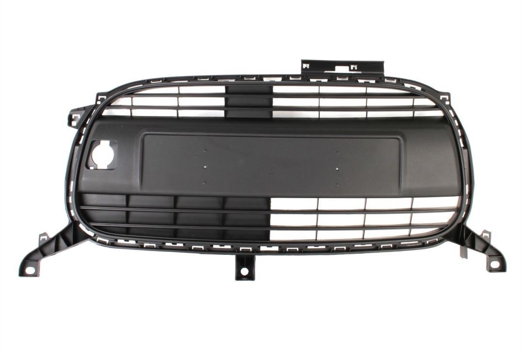 Bumper mesh Citroen C1: 6502070501991Q Blic Grille radiator