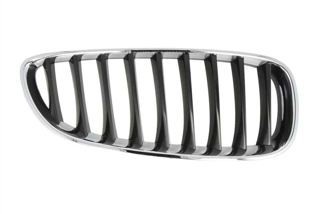 Blic 6502-07-0089996P Grille radiator 6502070089996P: Buy near me at 2407.PL in Poland at an Affordable price!