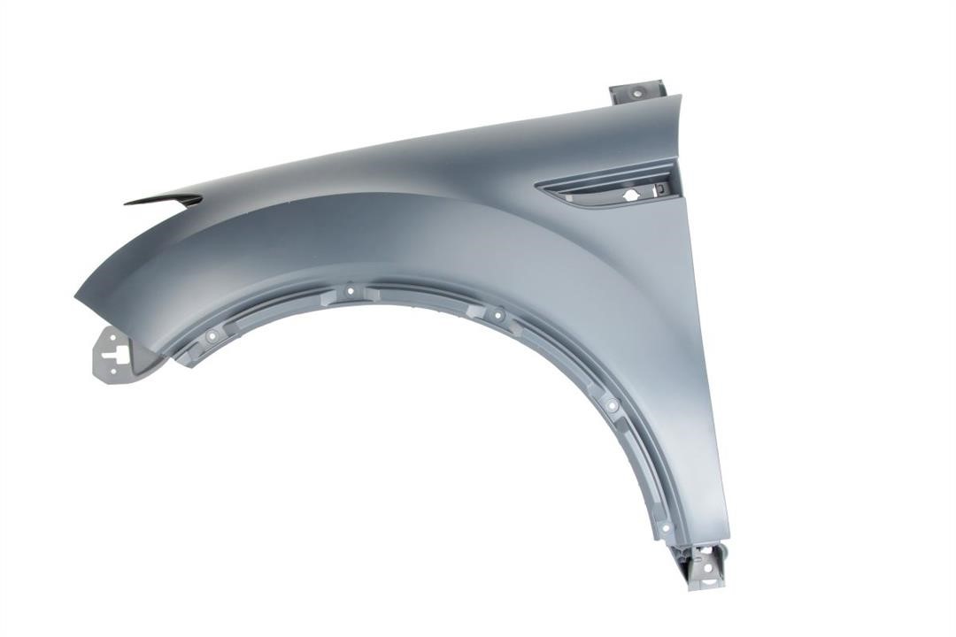 Front wing panel Ford Kuga: 6504042578311P Blic Front fender left