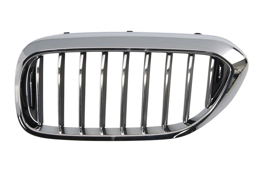 Blic 6502-07-0068993P Grille radiator 6502070068993P: Buy near me at 2407.PL in Poland at an Affordable price!