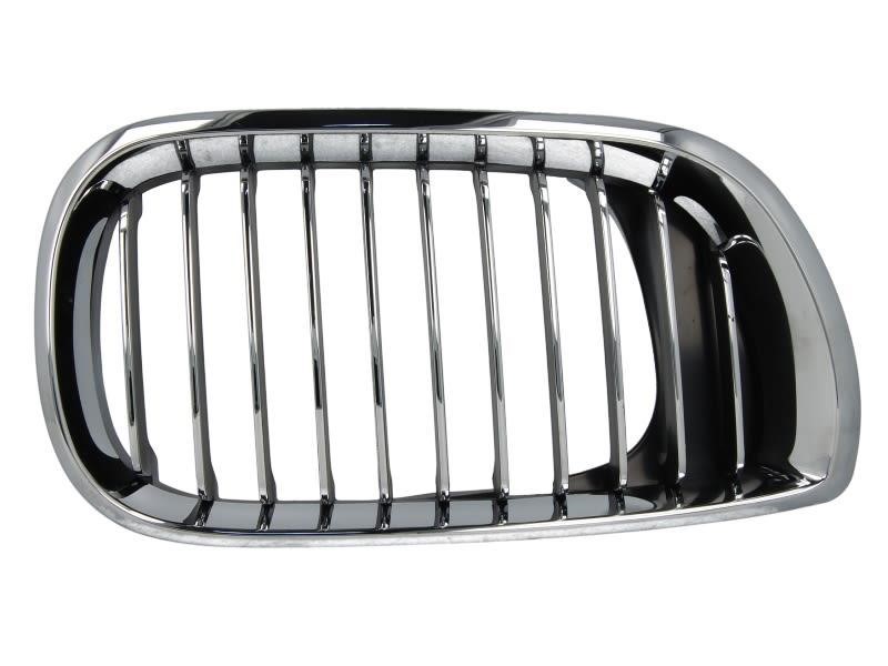 Blic 6502-07-0061992PP Grille radiator 6502070061992PP: Buy near me at 2407.PL in Poland at an Affordable price!