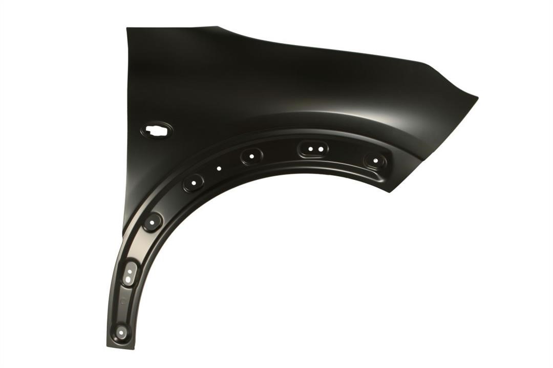Front wing panel Citroen C4: 6504040540312P Blic Front fender