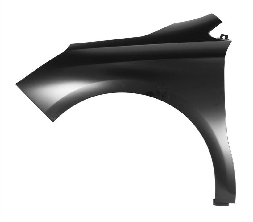 Front fender Citroen C4: 6504040537313P Blic Front fender left
