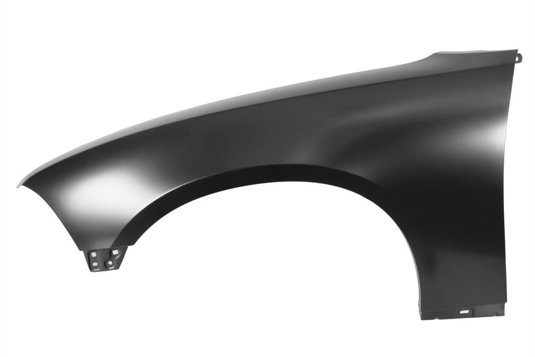 Front fender Dodge: 6504040932311P Blic Front fender left