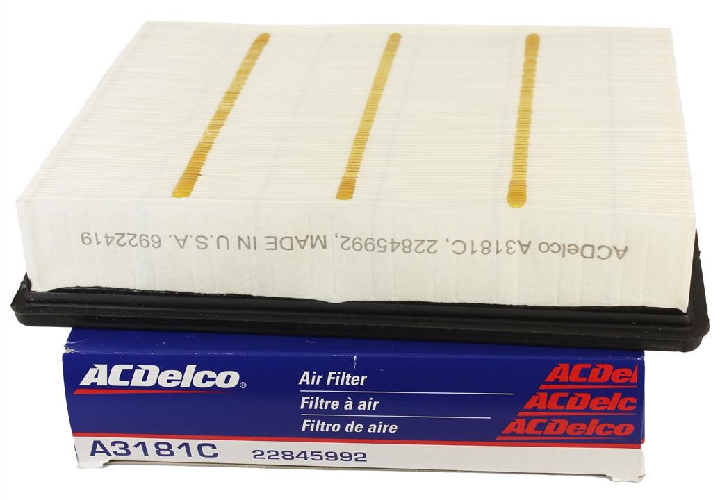 Luftfilter AC Delco A3181C
