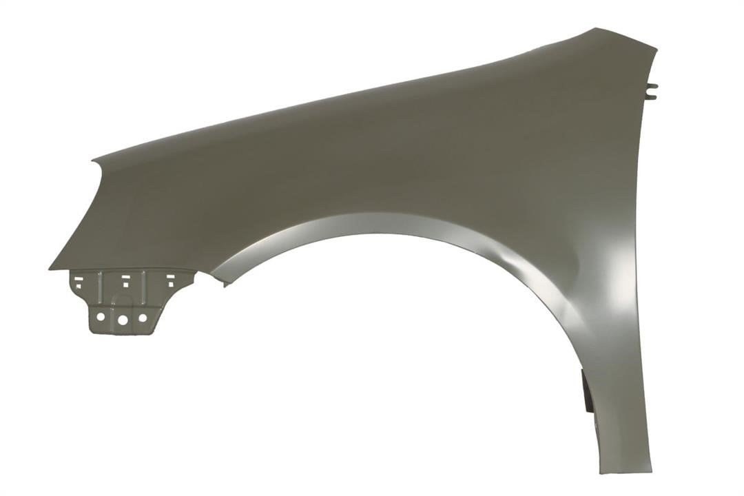 Front wing fender Volkswagen Golf: 6504049524311P Blic Front fender