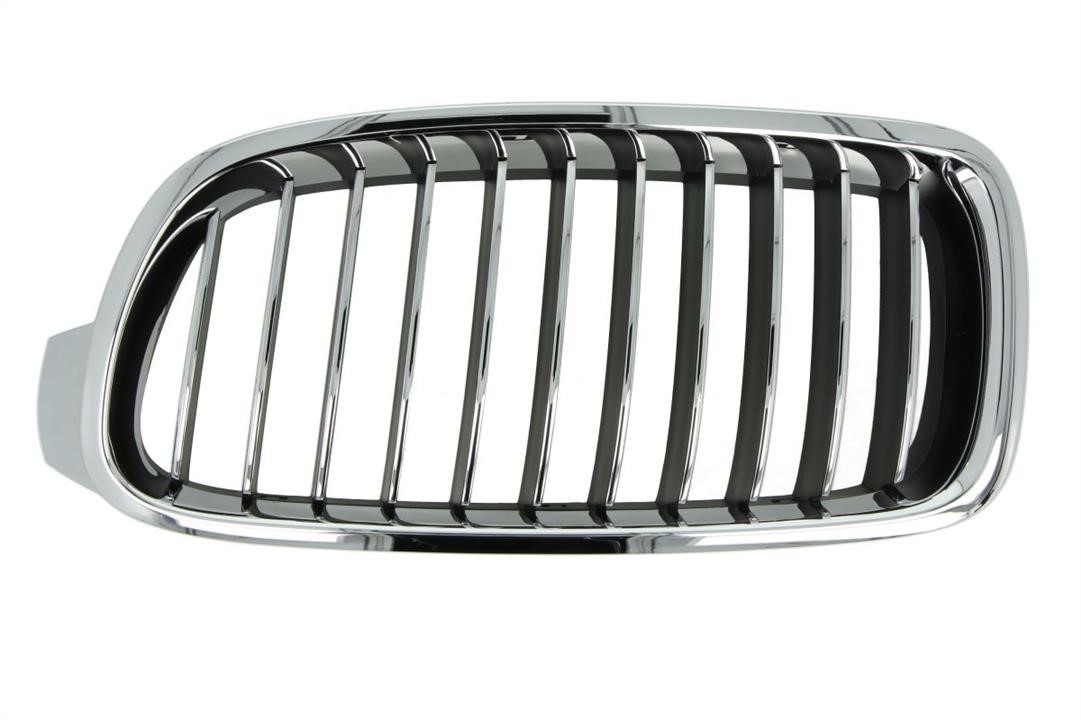 Blic 6502-07-0063997P Grille radiator 6502070063997P: Buy near me at 2407.PL in Poland at an Affordable price!