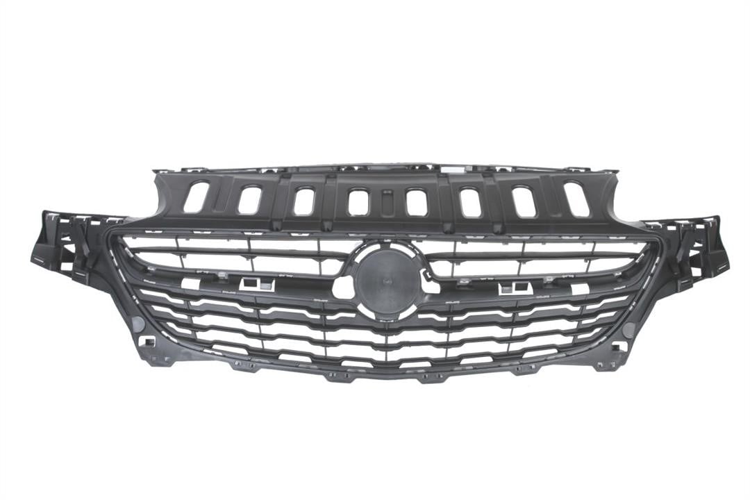 Blic 6502-07-5025990Q Grille radiator 6502075025990Q: Buy near me at 2407.PL in Poland at an Affordable price!