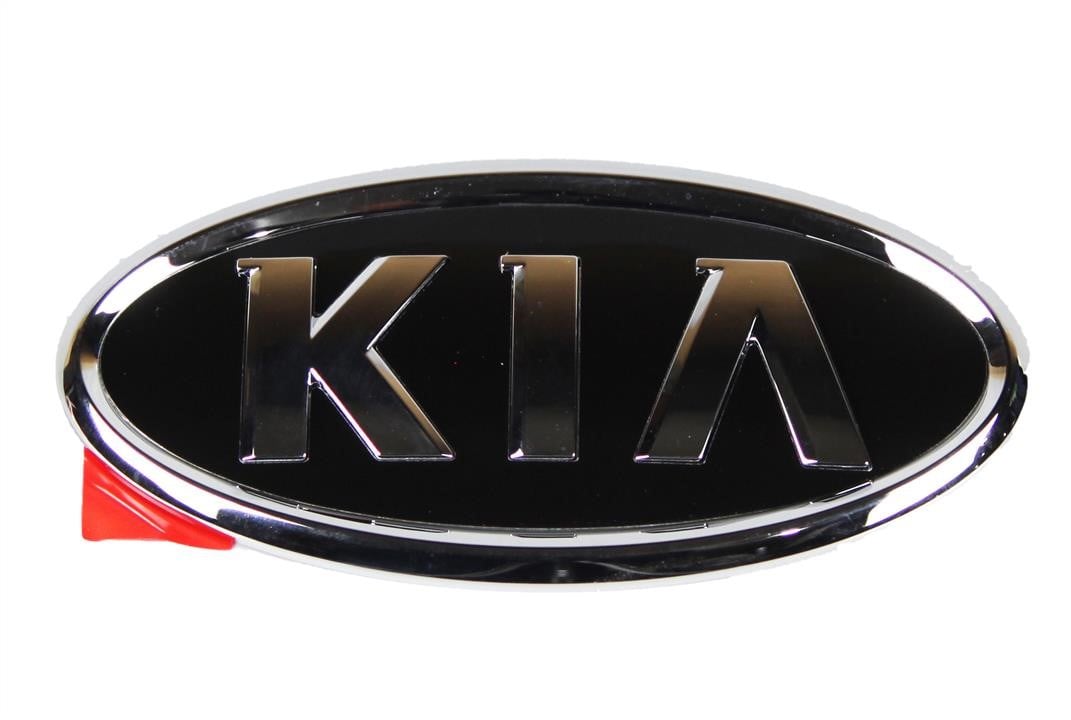 Hyundai/Kia 86310 1G100 Rear door logo 863101G100: Buy near me in Poland at 2407.PL - Good price!