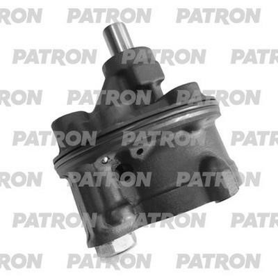 Patron PPS080 Hydraulic Pump, steering system PPS080: Buy near me in Poland at 2407.PL - Good price!