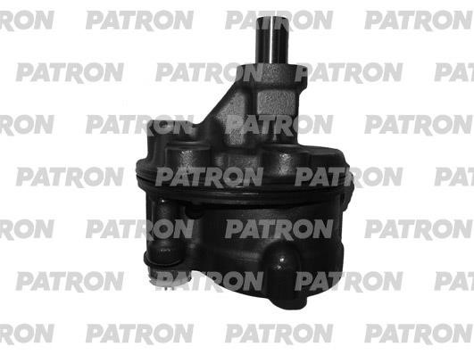 Patron PPS101 Hydraulic Pump, steering system PPS101: Buy near me in Poland at 2407.PL - Good price!