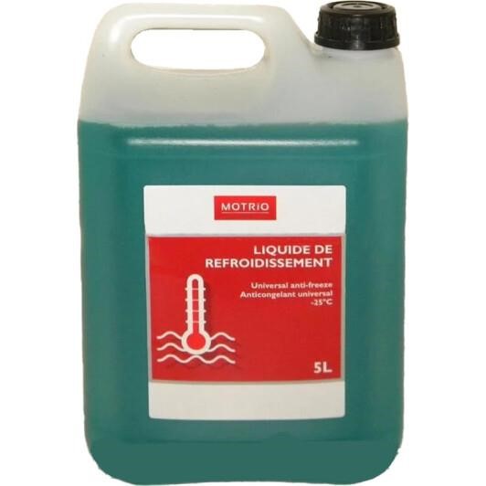 Renault 86 71 017 367 Antifreeze Renault green, ready to use -25, 5L 8671017367: Buy near me in Poland at 2407.PL - Good price!
