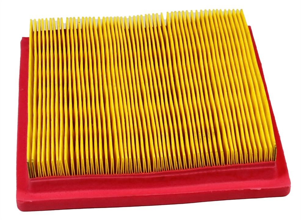 Champion CAF100619P Air filter CAF100619P: Buy near me in Poland at 2407.PL - Good price!