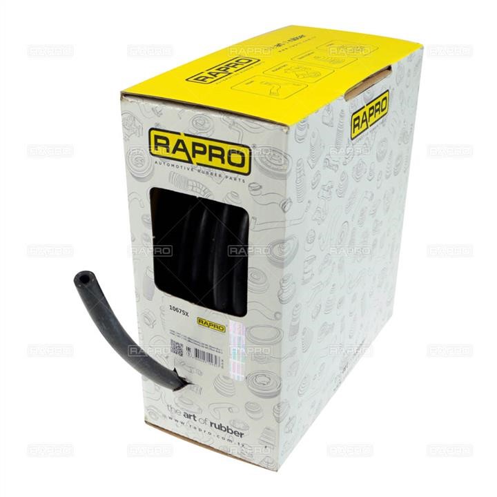 Rapro R10675X Hose, fuel system pressure tester R10675X: Buy near me in Poland at 2407.PL - Good price!