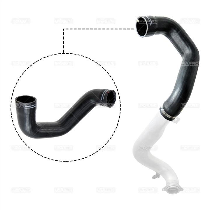 Rapro R11772 Intake hose R11772: Buy near me in Poland at 2407.PL - Good price!