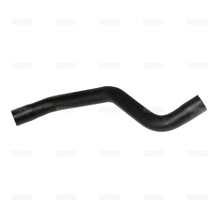 Rapro R12261 Radiator pipe R12261: Buy near me in Poland at 2407.PL - Good price!