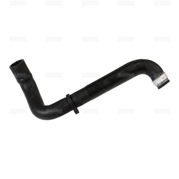 Rapro R15515 Radiator pipe R15515: Buy near me in Poland at 2407.PL - Good price!