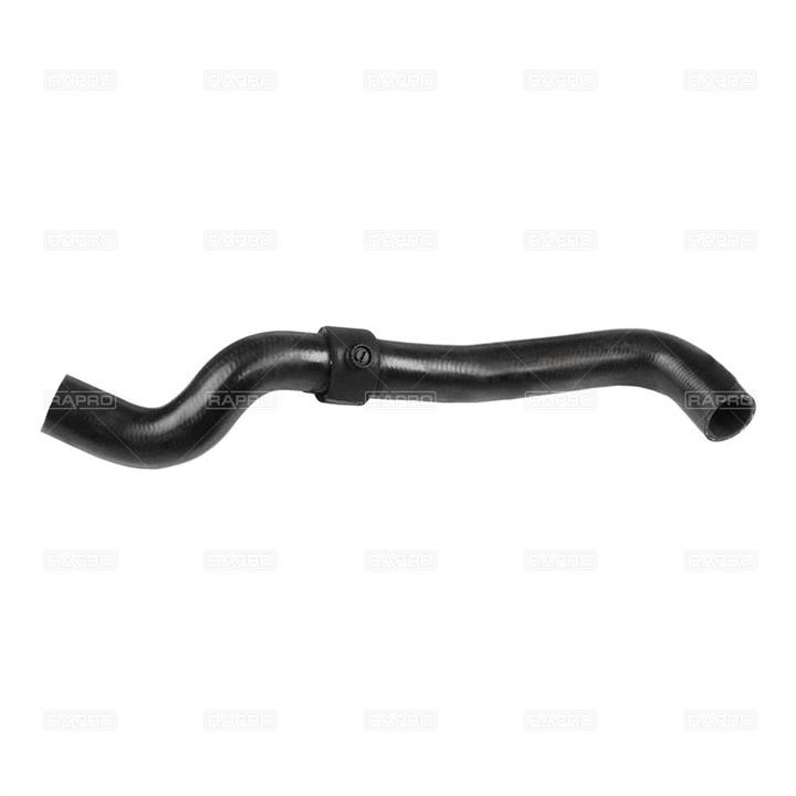 Rapro R16167 Radiator pipe R16167: Buy near me in Poland at 2407.PL - Good price!