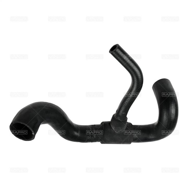 Rapro R18164 Radiator pipe R18164: Buy near me in Poland at 2407.PL - Good price!