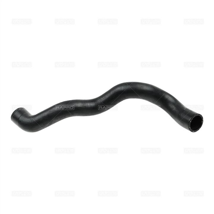 Rapro R18484 Radiator pipe R18484: Buy near me at 2407.PL in Poland at an Affordable price!
