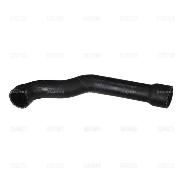 Rapro R19186 Radiator pipe R19186: Buy near me in Poland at 2407.PL - Good price!