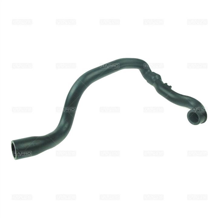 Rapro R31181 Breather Hose for crankcase R31181: Buy near me in Poland at 2407.PL - Good price!