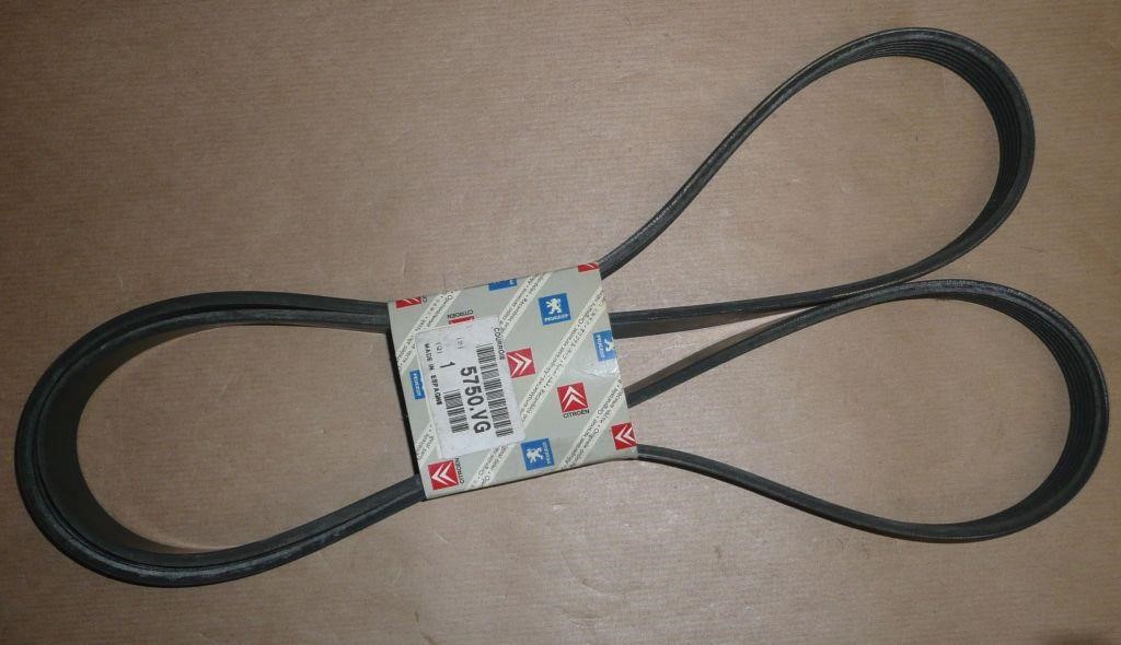 Citroen/Peugeot 5750 VG V-belt 5750VG: Buy near me in Poland at 2407.PL - Good price!