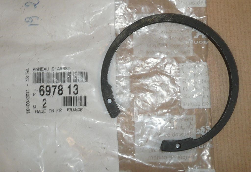 Citroen/Peugeot 6978 13 Locking Ring, fuel pump 697813: Buy near me at 2407.PL in Poland at an Affordable price!