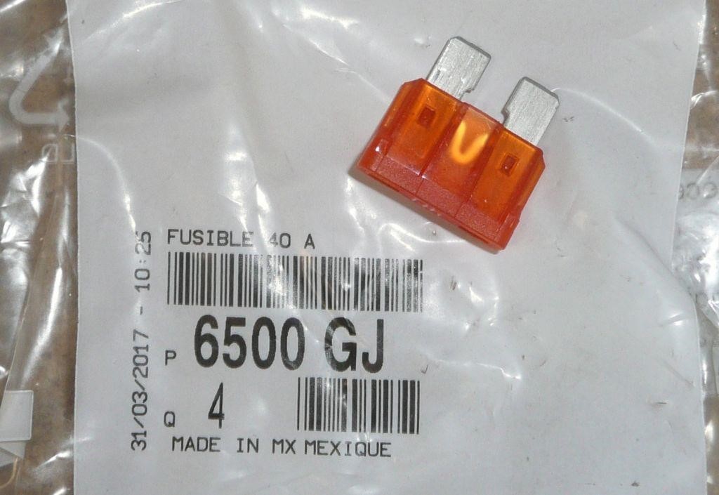 Citroen/Peugeot 6500 GJ Fuse 6500GJ: Buy near me at 2407.PL in Poland at an Affordable price!