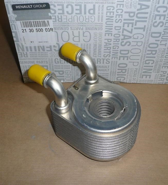 Renault 21 30 500 03R Oil cooler 213050003R: Buy near me in Poland at 2407.PL - Good price!