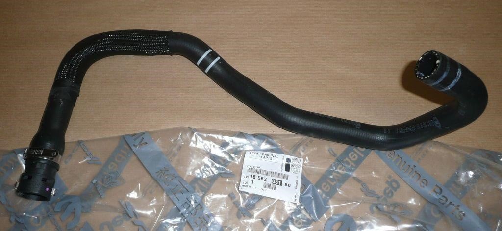 Citroen/Peugeot 16 563 081 80 Hose assy water outlet 1656308180: Buy near me in Poland at 2407.PL - Good price!