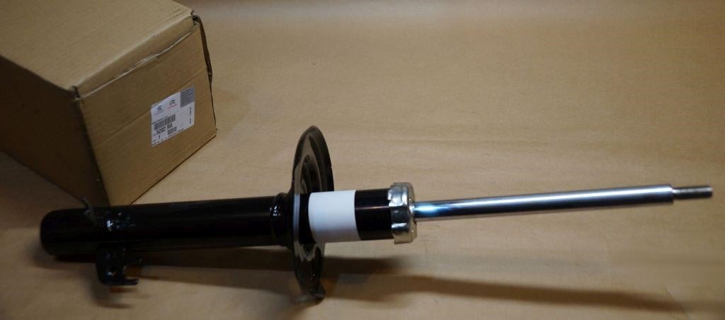 Citroen/Peugeot 5202 RX Shock absorber assy 5202RX: Buy near me in Poland at 2407.PL - Good price!
