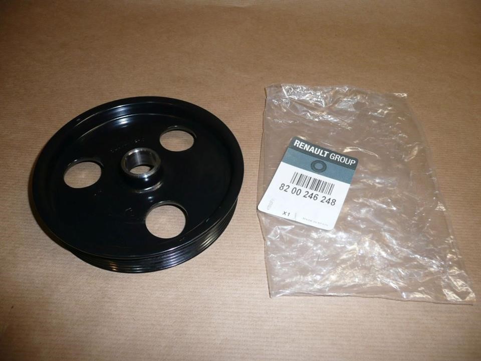 Renault 82 00 246 248 Power Steering Pulley 8200246248: Buy near me in Poland at 2407.PL - Good price!